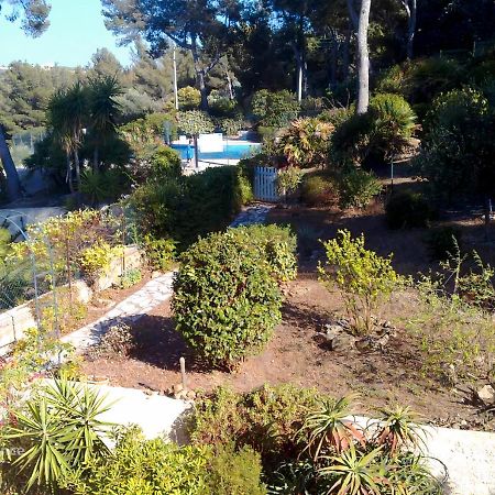T1 Avec Piscine A 300M Des Plages Pour 4 Personnes - Residence Saint Elme La Seyne-sur-Mer Exteriör bild
